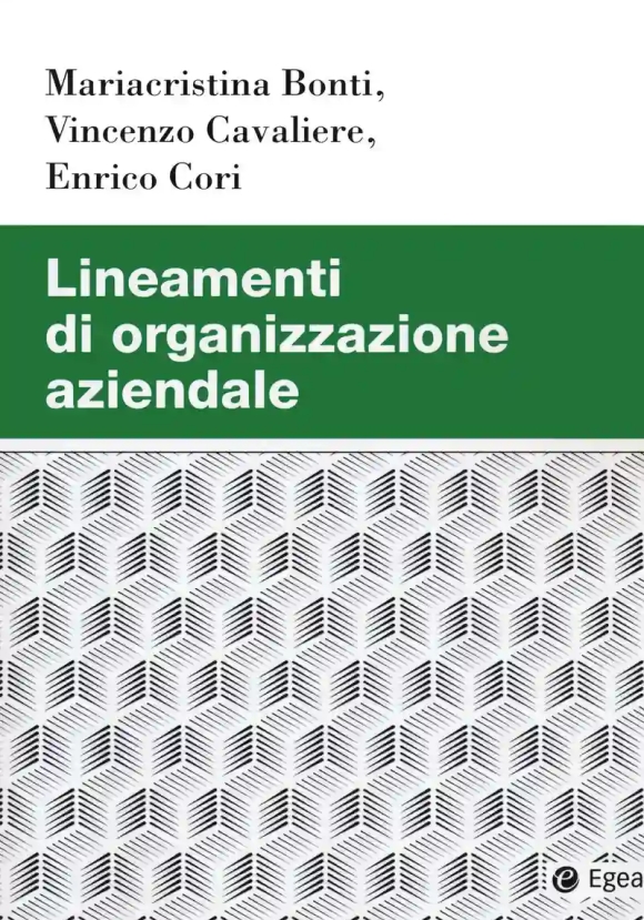 Lineamenti Di Organizzazione A