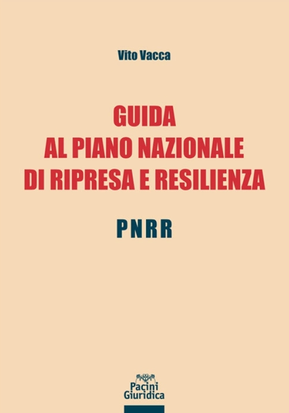 Guida Piano Nazionale Ripresa E Resilien