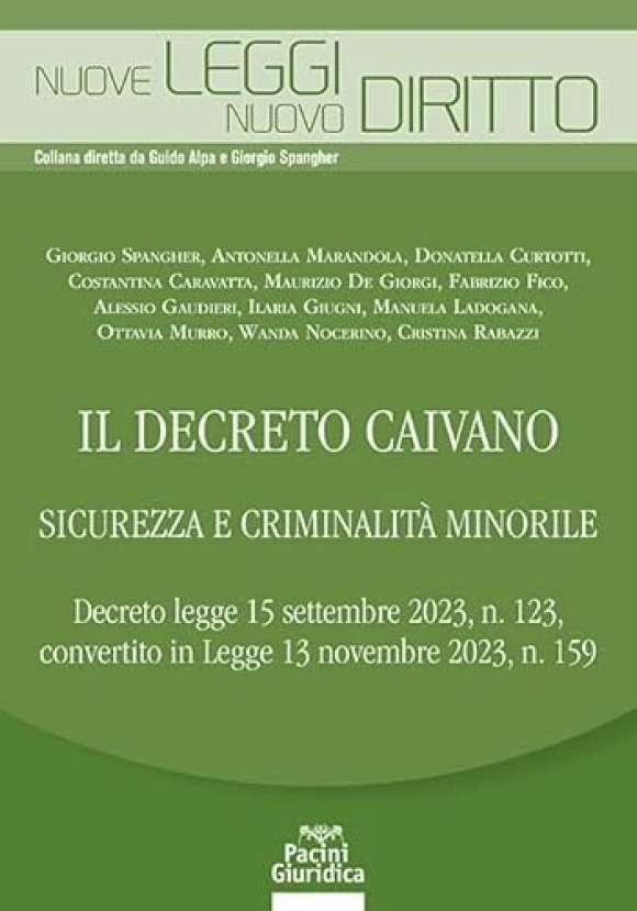 Decreto Caivano Sicur. Criminalita' Mino