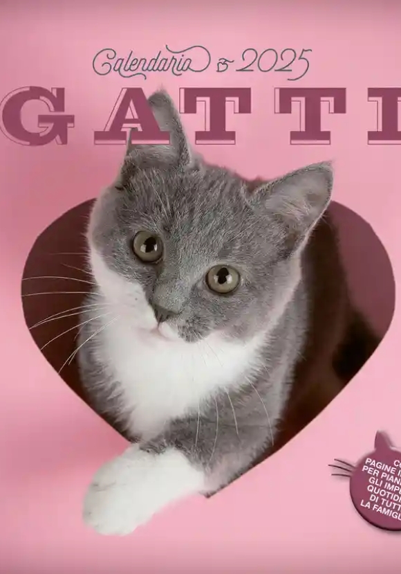 Gatti. Calendario 2025