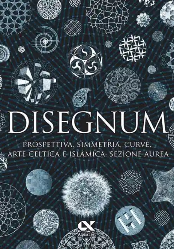 Disegnum