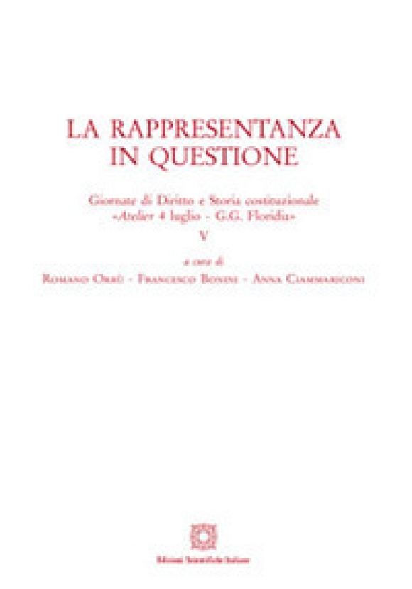 Rappresentanza In Questione