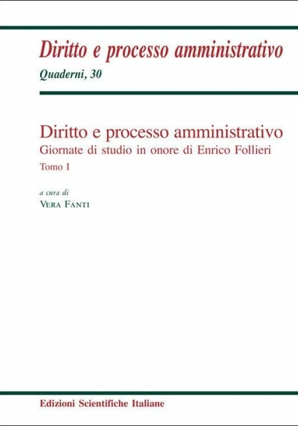 Diritto E Processo