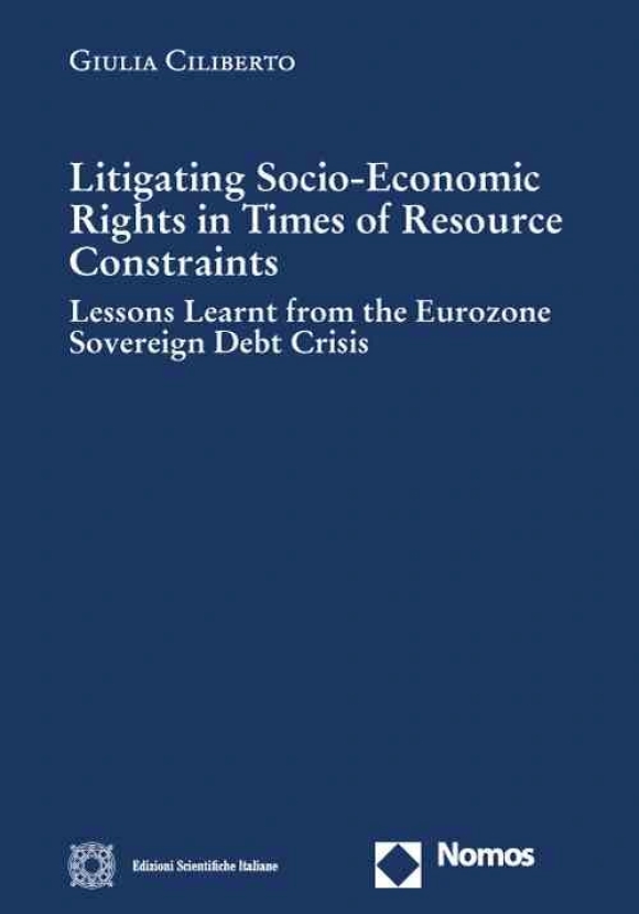 Litigating Socio-economic