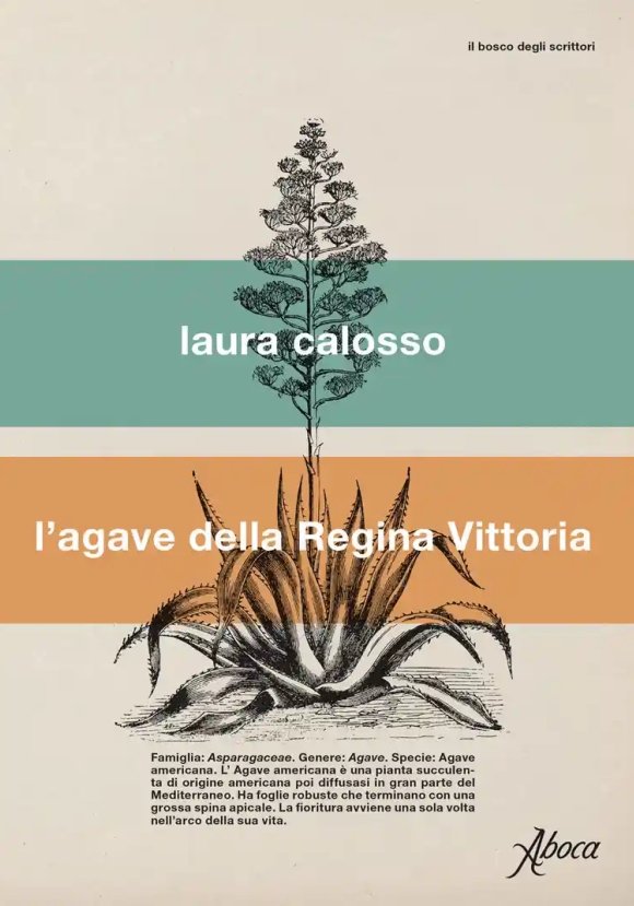 Agave Della Regina Vittoria (l')