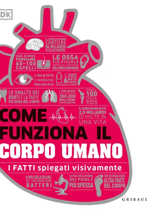 Come Funziona Il Corpo Umano