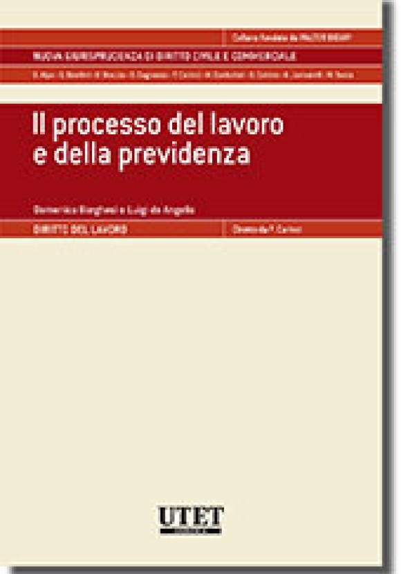 Processo Del Lavoro (il) E Del