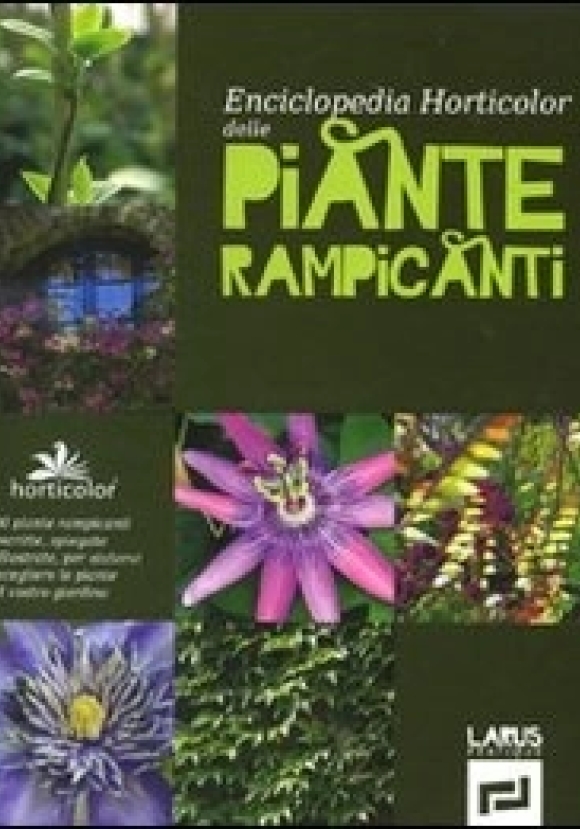 Piante Rampicanti