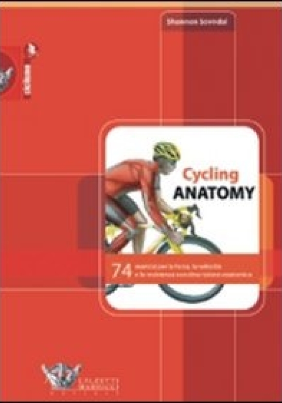 Cycling Anatomy