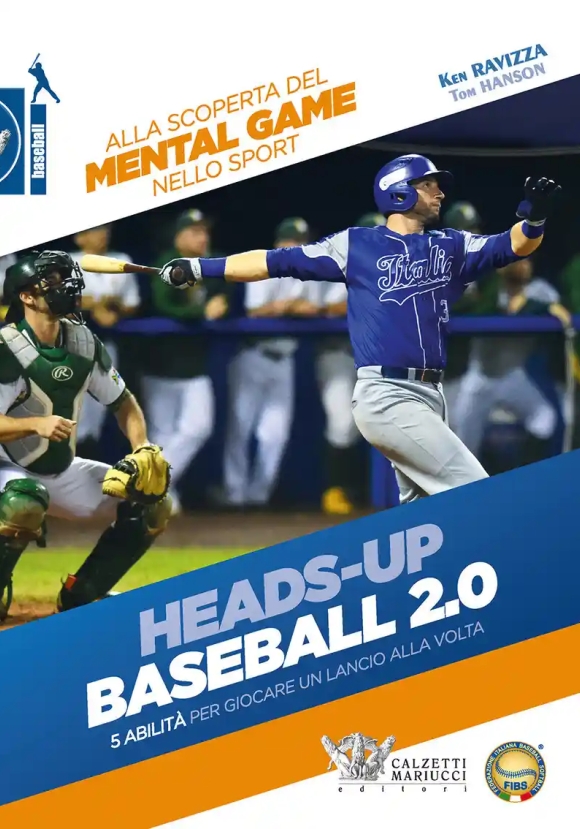 Heads-up Baseball 2.0