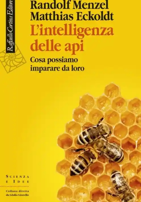 L'intelligenza Delle Api