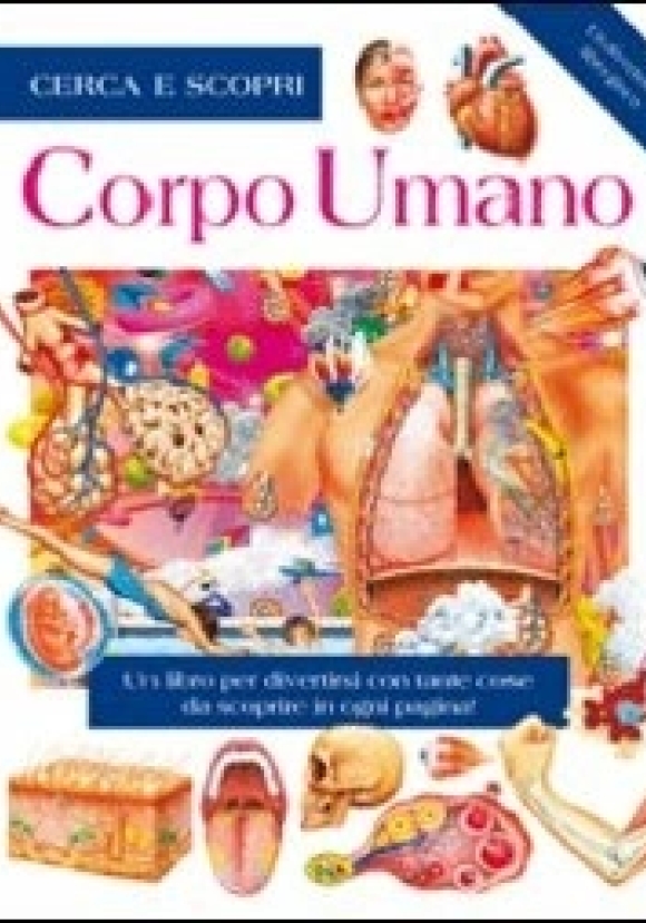 Corpo Umano