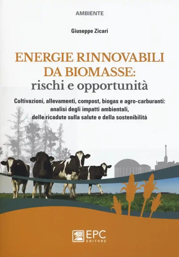 Energie Rinnovabili Da Biomasse: Rischi E Opportunit