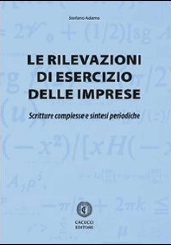 Le Rilevazioni Di Esercizio Delle Imprese