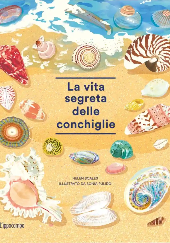 Vita Segreta Delle Conchiglie (la)