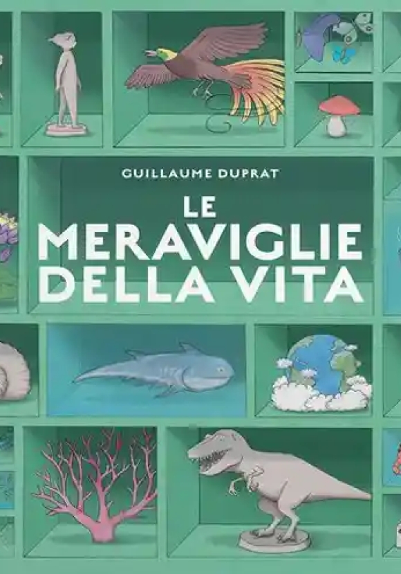 Meraviglie Della Vita. Ediz. A Colori (le)