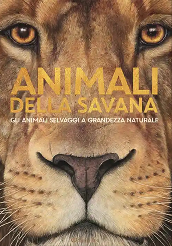 Animali Della Savana. Gli Animali Selvaggi A Grandezza Naturale. Ediz. Illustrata (gli)