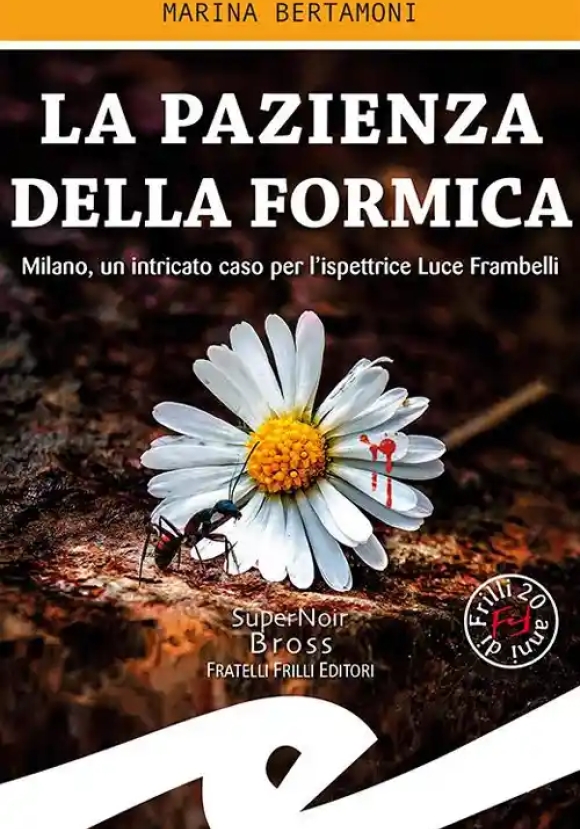 La Pazienza Della Formica