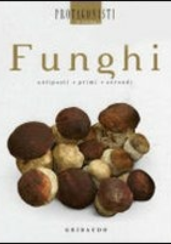 Funghi                              (fc)