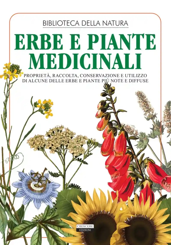 Erbe E Piante Medicinali. Propriet?, Raccolta, Conservazione E Utilizzo Di Alcune Delle Erbe E Piant