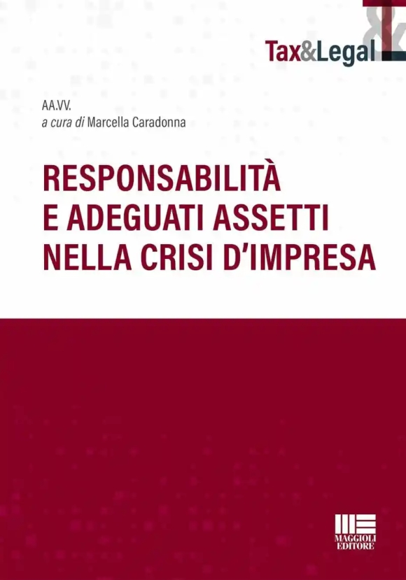 Responsabilita' Adeguati Assetti Crisi