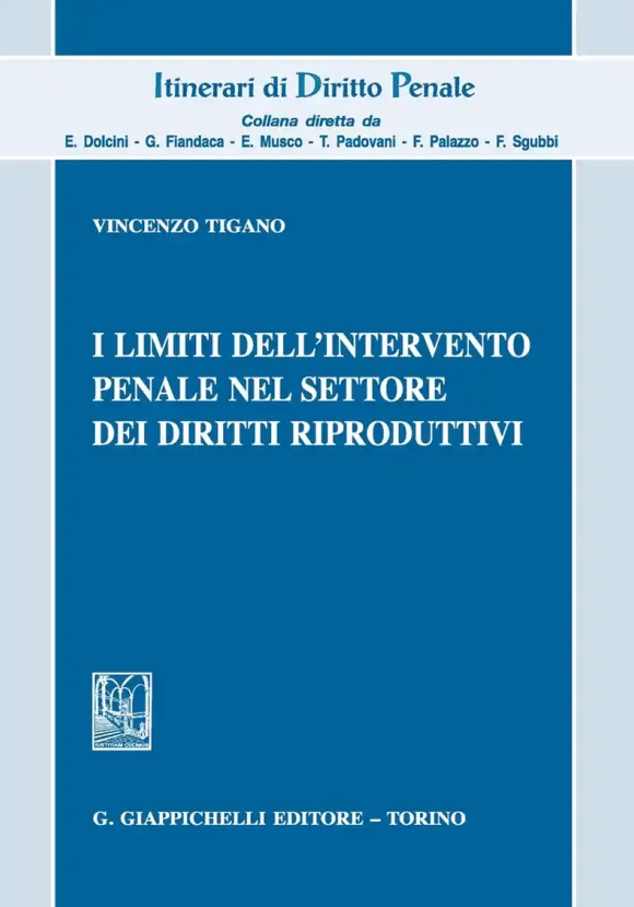 Limiti Intervento Penale