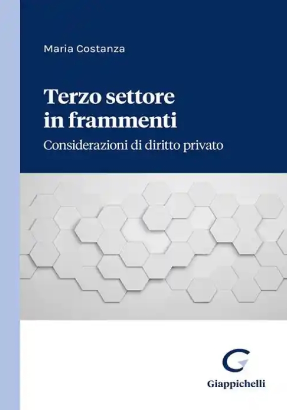 Terzo Settore In Frammenti