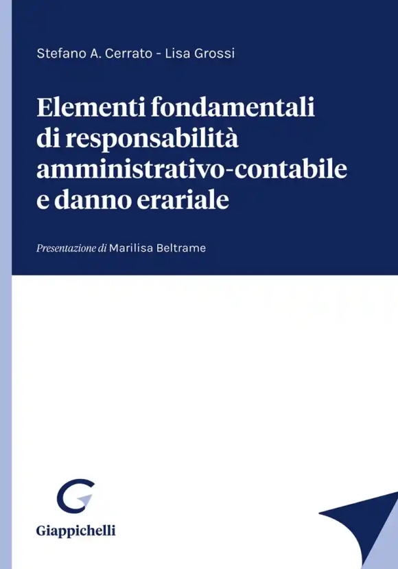 Elementi Dondamentali Respons.amm.contab