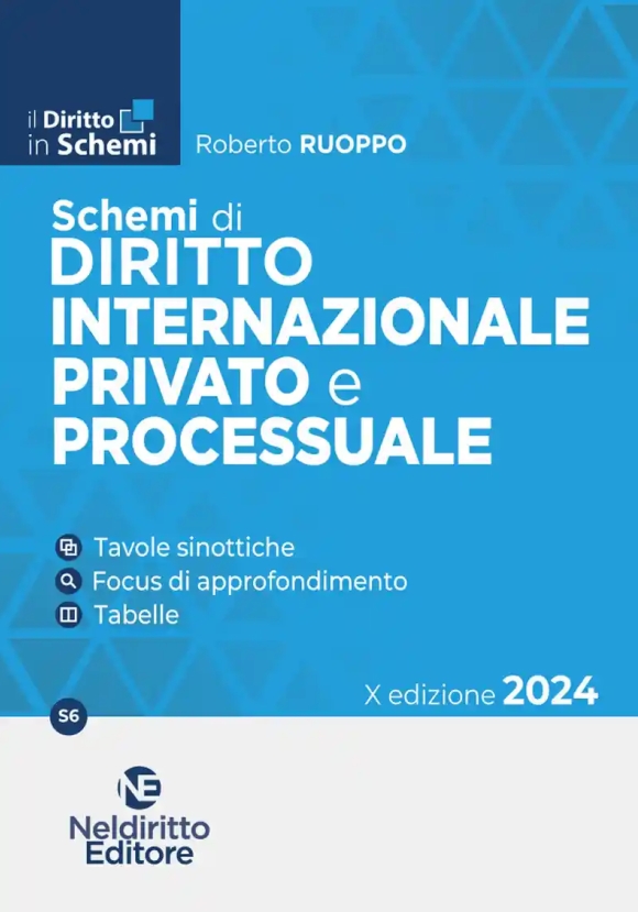 Schemi Diritto Int.le Privato Proc.2024