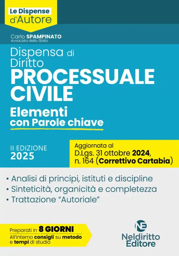 Dispensa Diritto Process.civile 2ed.2025