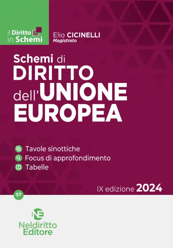 Schemi Diritto Unione Europea 2024 9ed.