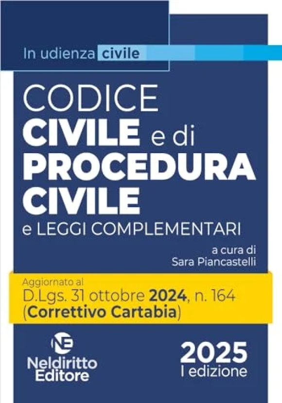 Codice Minor Civile Proc.civile 202425