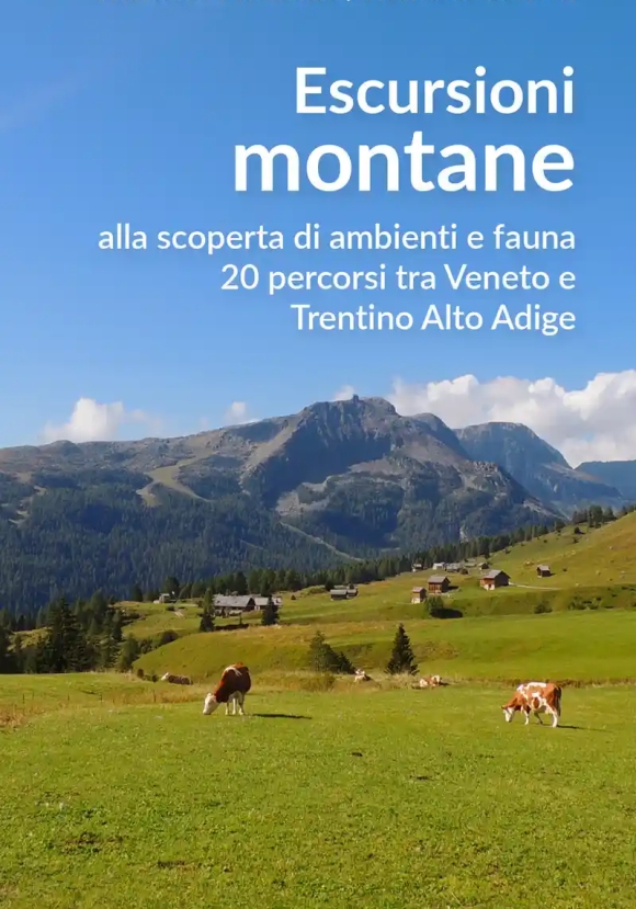 Escursioni Montane