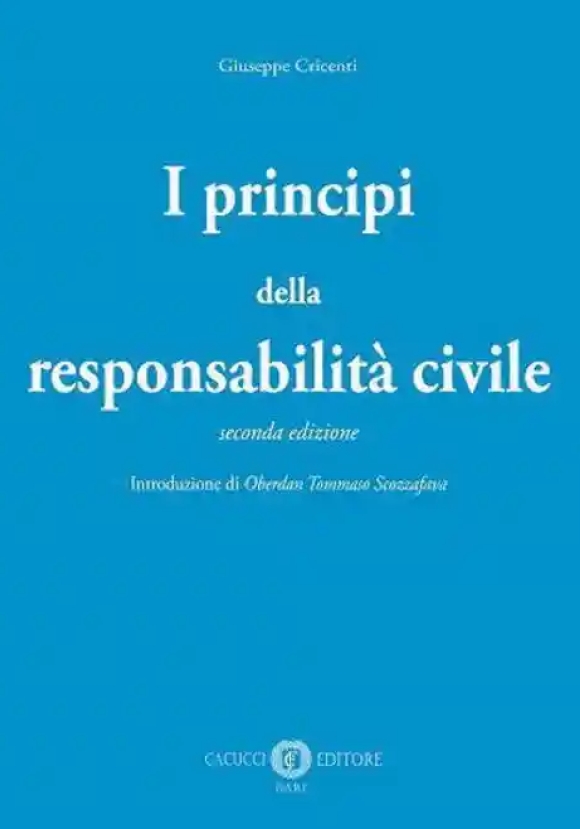 Principi Responsabilit? Civile 2ed.