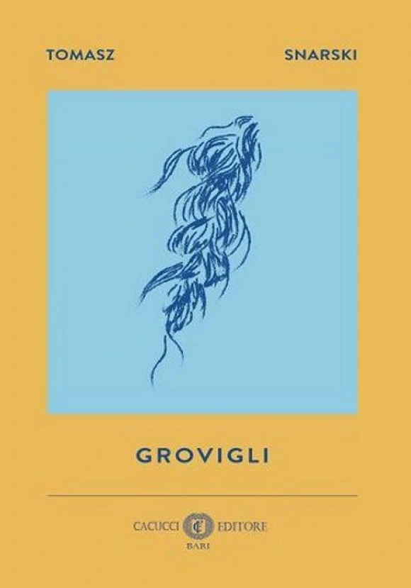 Grovigli