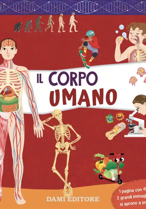 Corpo Umano