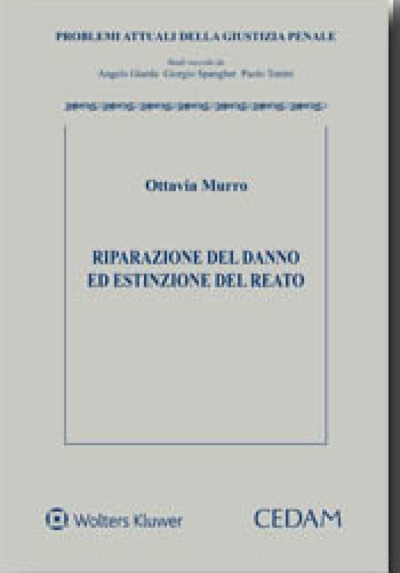 Riparazione Del Danno