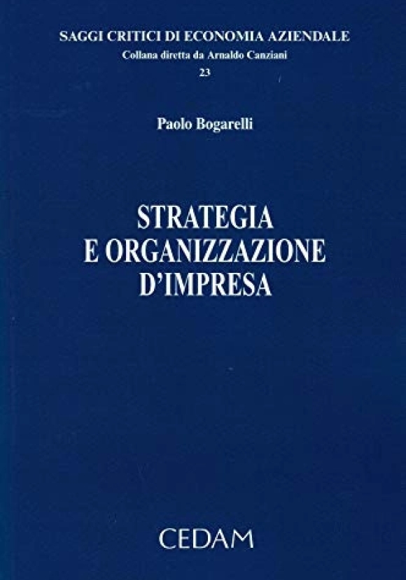 Strategia E Organizzazione