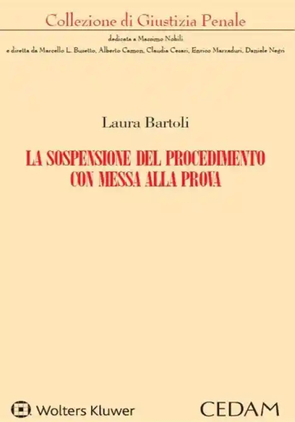 Sospensione Del Procedimento C