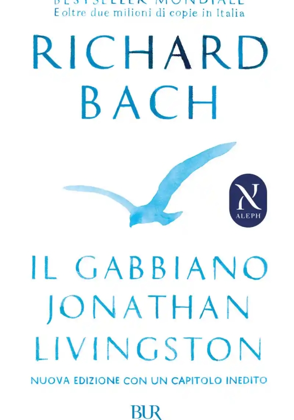 Il Gabbiano Jonathan Livingston