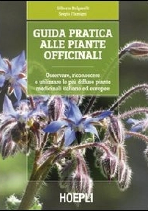 Guida Pratica Alle Piante Officinali