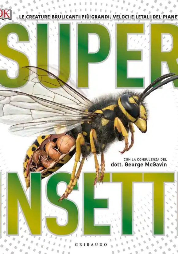 Superinsetti