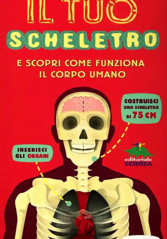 Costruisci Il Tuo Scheletro