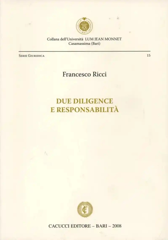 Due Diligence E Responsabilita'