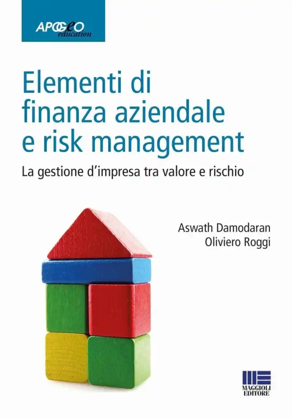 Elementi Fianaza Aziendale Risk Managem.