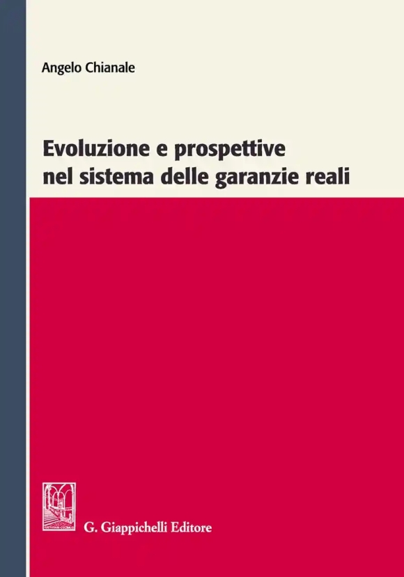 Evoluzione E Prospettive Nel