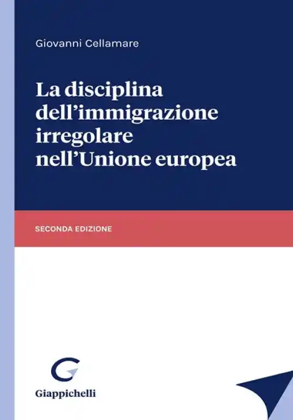 Lezioni Disciplina Immigrazione Irreg.