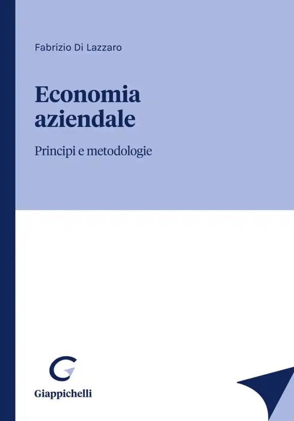 Economia Aziendale Principi E Metodol.