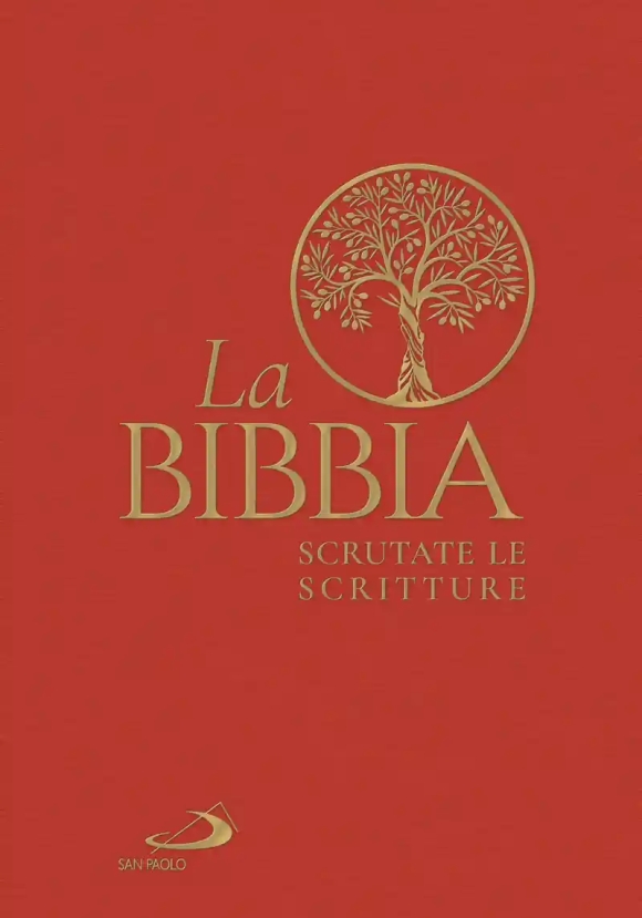 Bibbia. Scrutate Le Scritture (la)